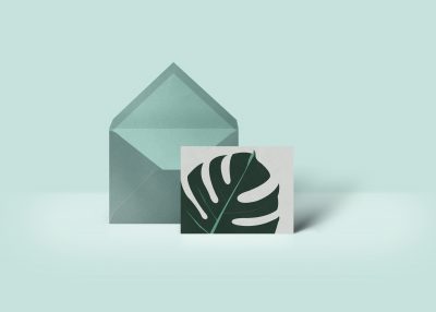 monstera
